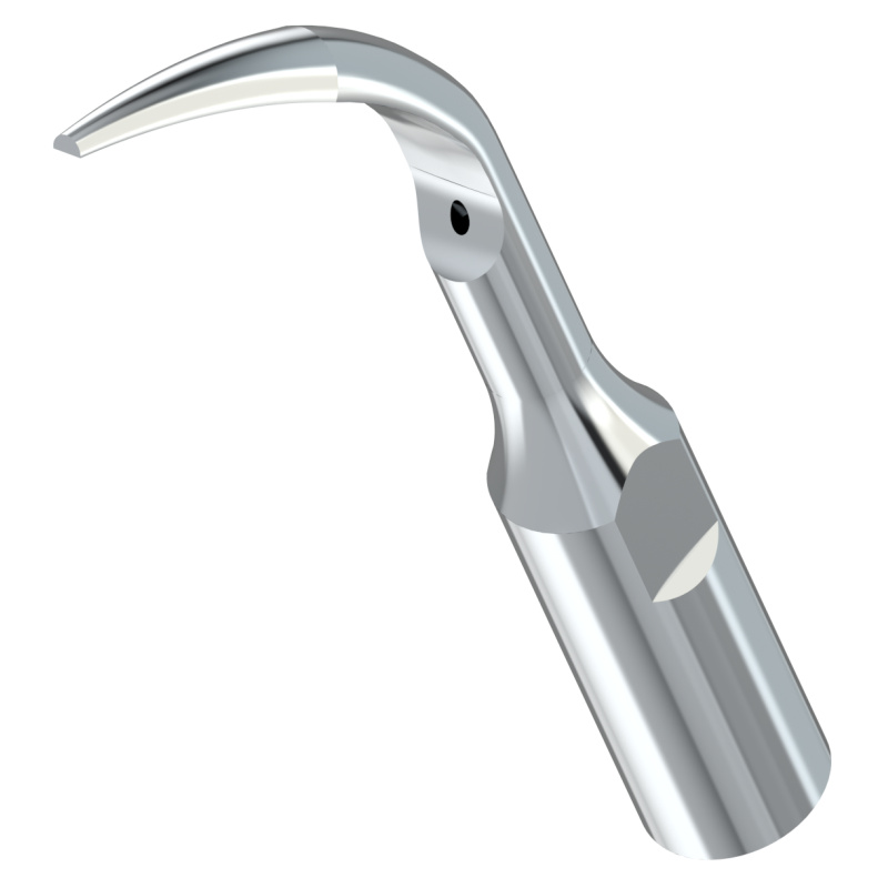 WOODPECKER_INSERT GD1 (1)