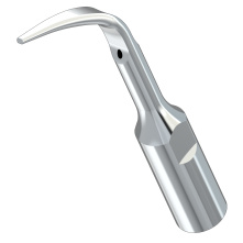 WOODPECKER_INSERT GD4 (10X)