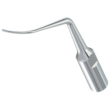 WOODPECKER_INSERT PD2R (H2R)