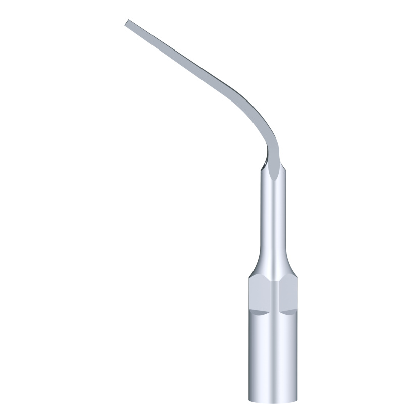 WOODPECKER_INSERT P6