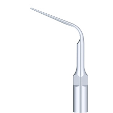 WOODPECKER_INSERT P10