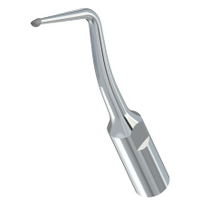 WOODPECKER_INSERT SBL