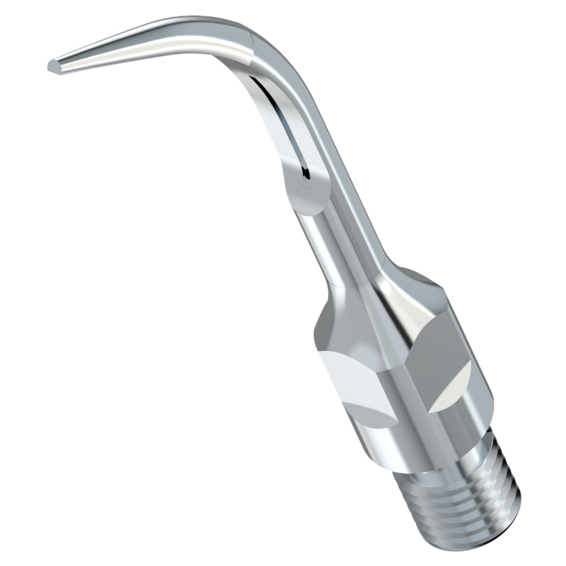 WOODPECKER_INSERT GS5