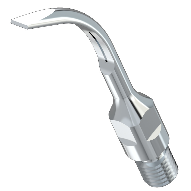 WOODPECKER_INSERT GS6