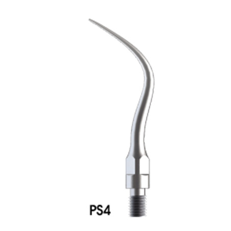 WOODPECKER_INSERT PS4