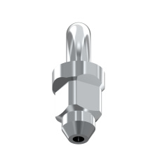 WOODPECKER_INSERT ES1