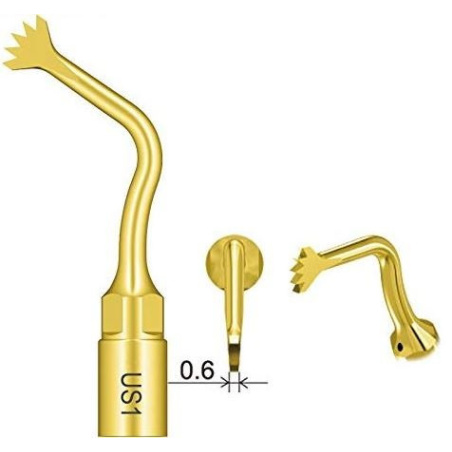 DTE WOODPECKER - Tip US1