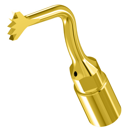 WOODPECKER_INSERT US1 (OT6)