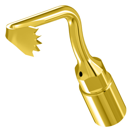 WOODPECKER_INSERT US1L