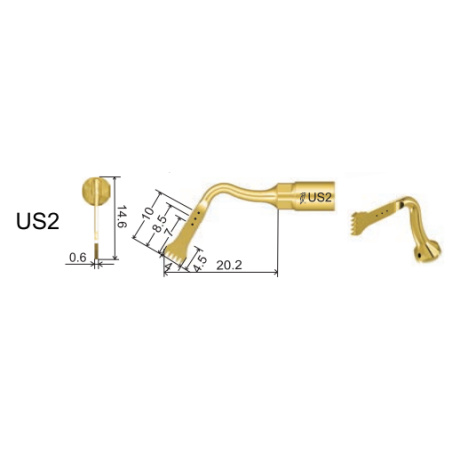 DTE WOODPECKER - Tip US2