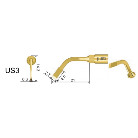 DTE WOODPECKER - Tip US3