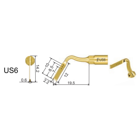 DTE WOODPECKER - Tip US6