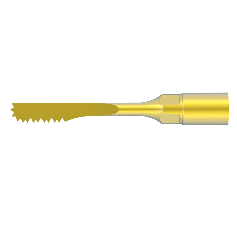 WOODPECKER_INSERT US13