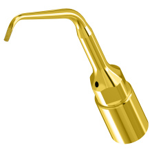 WOODPECKER_INSERT UE3