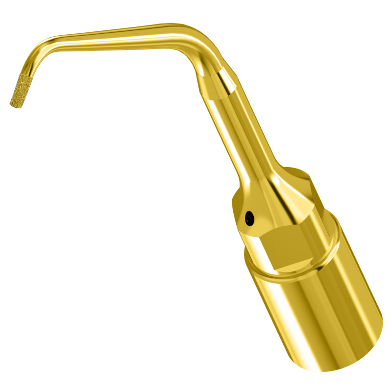 WOODPECKER_INSERT UE3