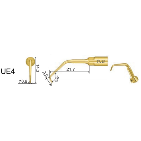 DTE WOODPECKER - INSERT UE4