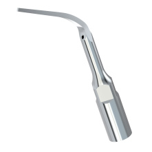 Insert Woodpecker & DTE