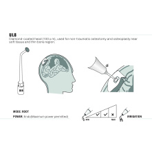 Insert Woodpecker & DTE