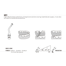 Insert Woodpecker & DTE