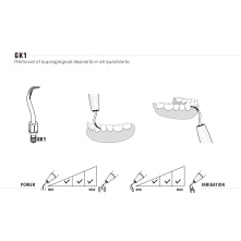 Insert Woodpecker & DTE
