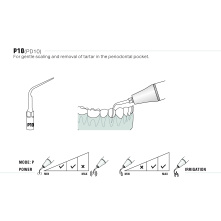 DTE WOODPECKER - Tip P10