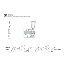 DTE WOODPECKER - Tip P3R