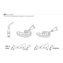 Insert Woodpecker & DTE Insert Woodpecker & DTE