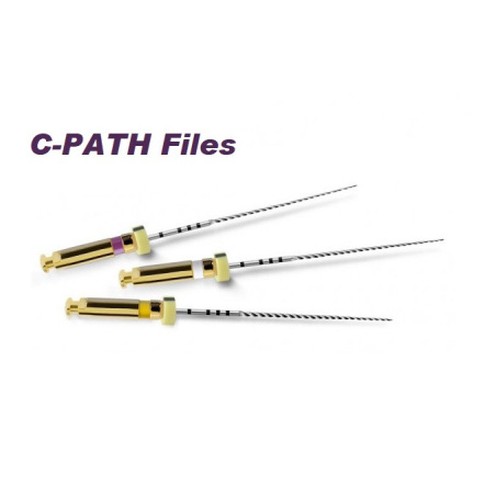 FANTA - C-Path Rotary files