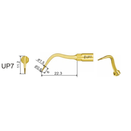 DTE WOODPECKER - INSERT UP7