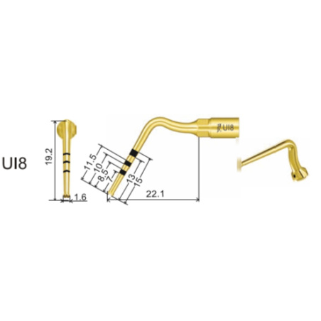 DTE WOODPECKER - INSERT UI8