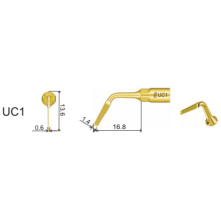 DTE WOODPECKER - Tip UC1