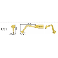 Insert Woodpecker & DTE