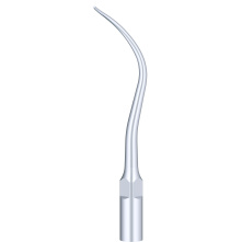 Insert Woodpecker & DTE