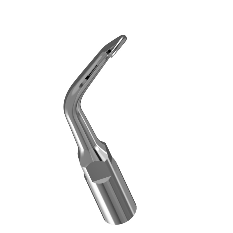 Insert Woodpecker & DTE