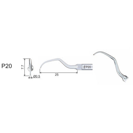 DTE WOODPECKER - Tip P20