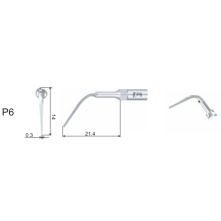 Insert Woodpecker & DTE