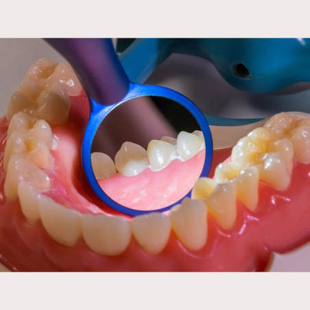 MOTRANSER - Kit miroirs avec lumière LED - M1 BRIGHT