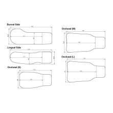 MOTRANSER - M6 LUMI - 5 photo mirrors set