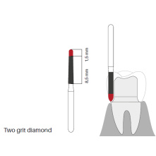 GZ BURS - Two grit diamonds GF850- x5