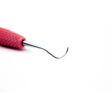 Montana Jack - notre coup de cœur !