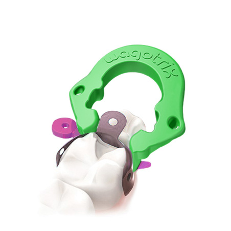 WAGOTRIX - Sectional Matrix Intro Kit