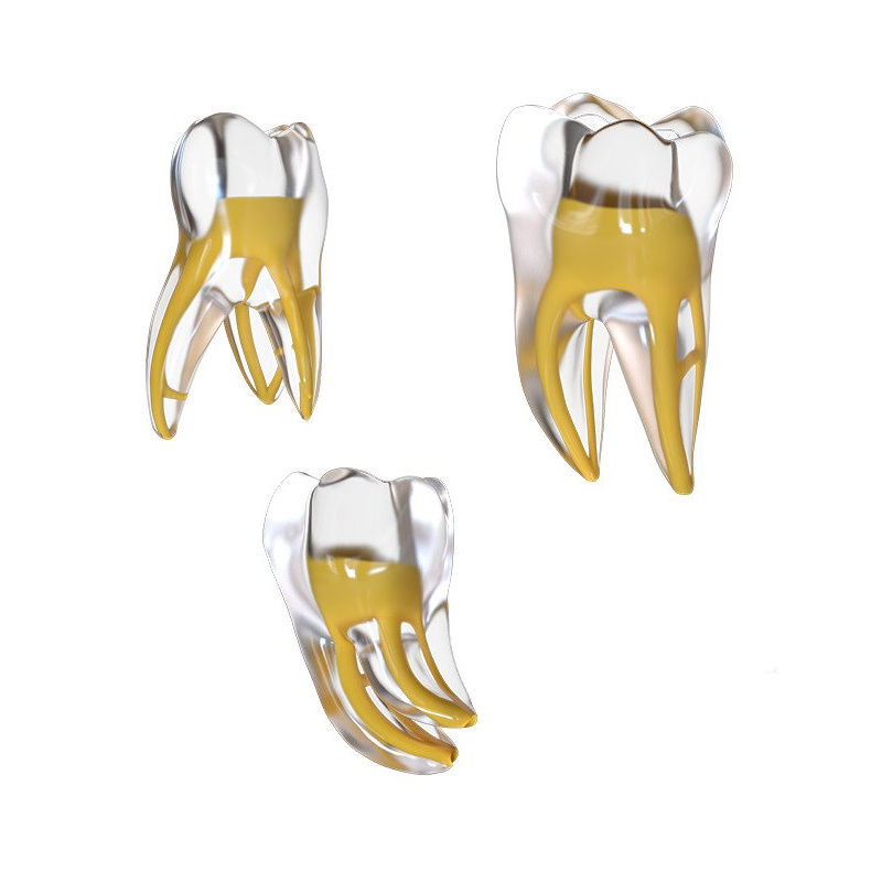 FANTA - Dent d'entrainement endo