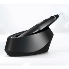 DTE WOODPECKER - Obturation à chaud - Fi-P