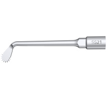 DTE WOODPECKER - INSERT SS21