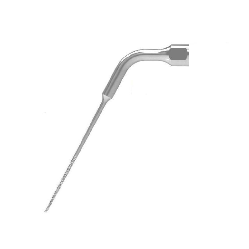 Insert Woodpecker & DTE