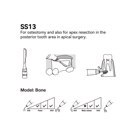DTE WOODPECKER - INSERT SS13