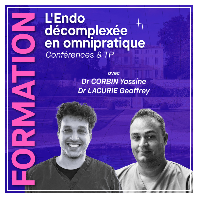 Formation en Endo avec Dr Yassine CORBIN et Dr Geoffrey LACURIE