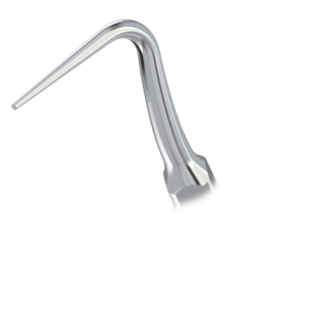 DTE WOODPECKER - INSERT P52