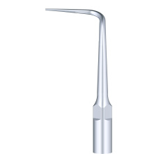 WOODPECKER_INSERT P53R