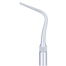 WOODPECKER_INSERT P56